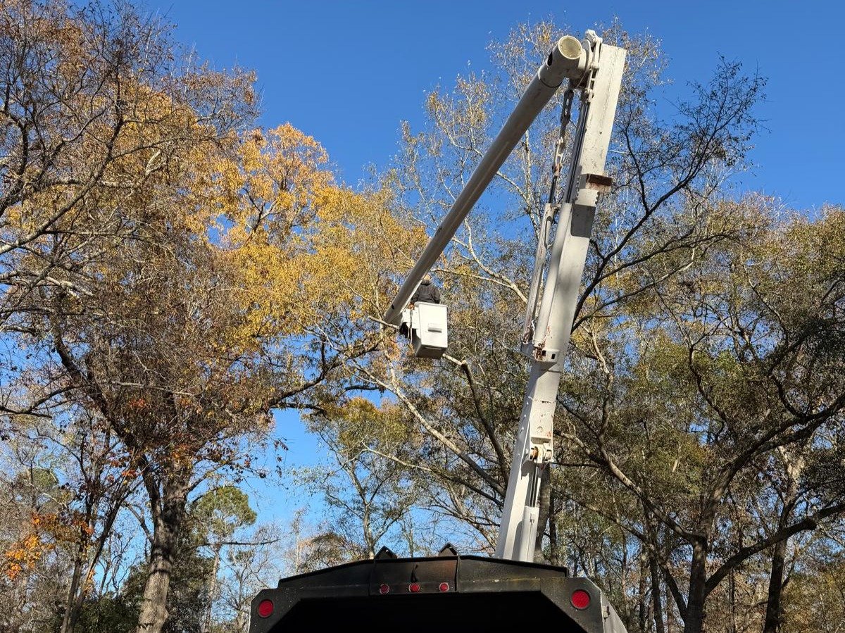 El Costeño Tree Service LLC
